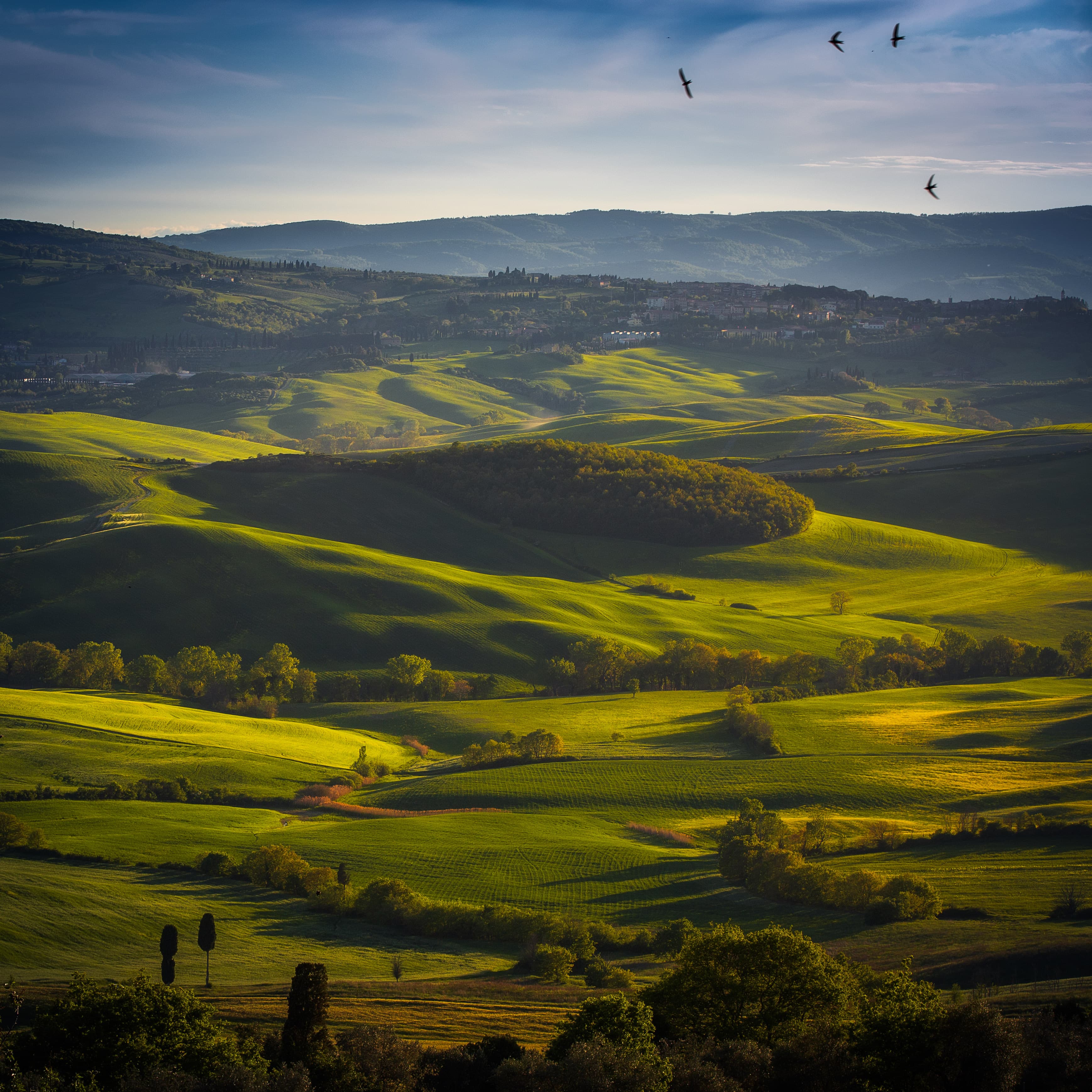 All Kind of Green Fields (I)