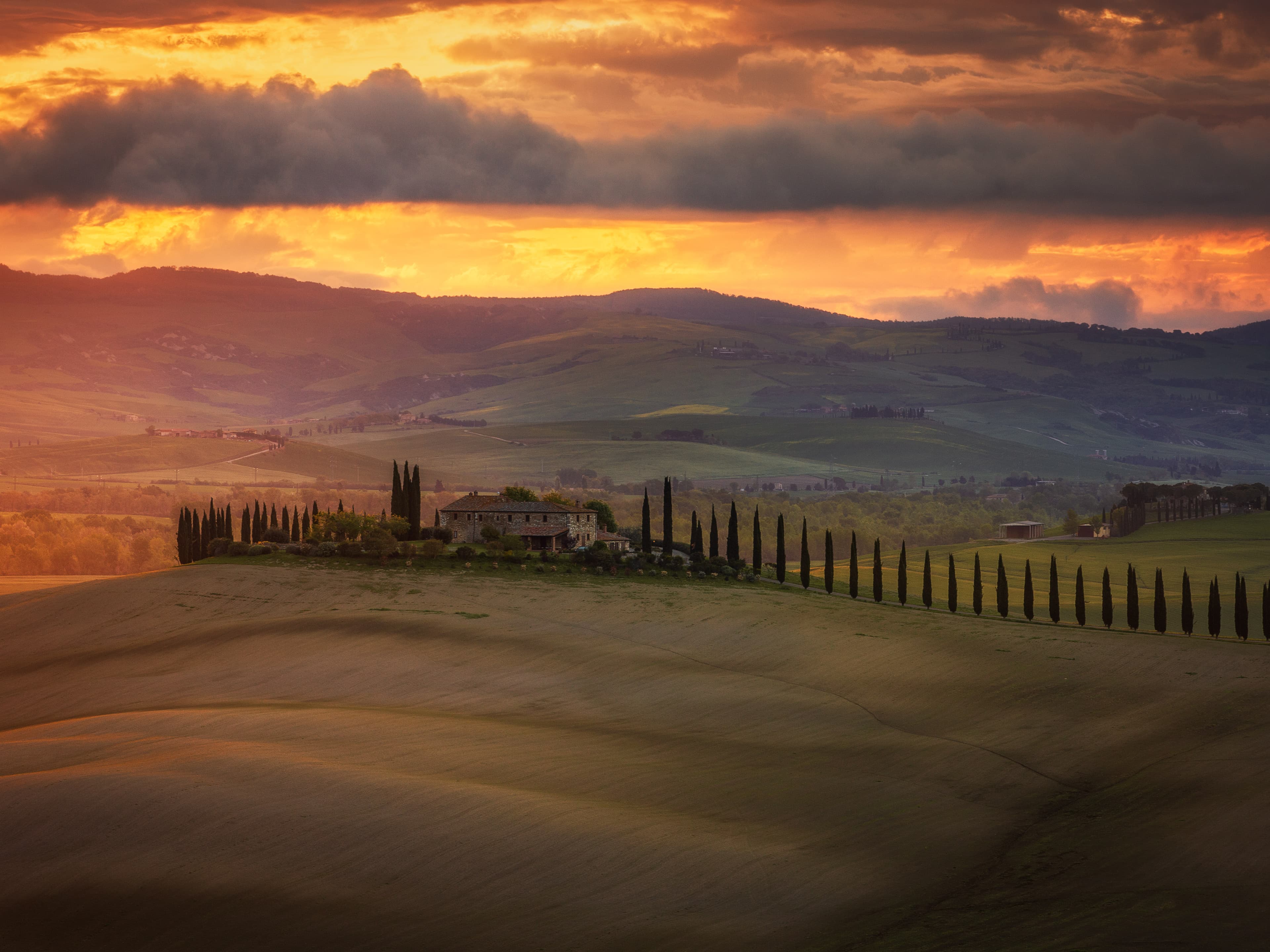 All Kind of Green Fields (IV)