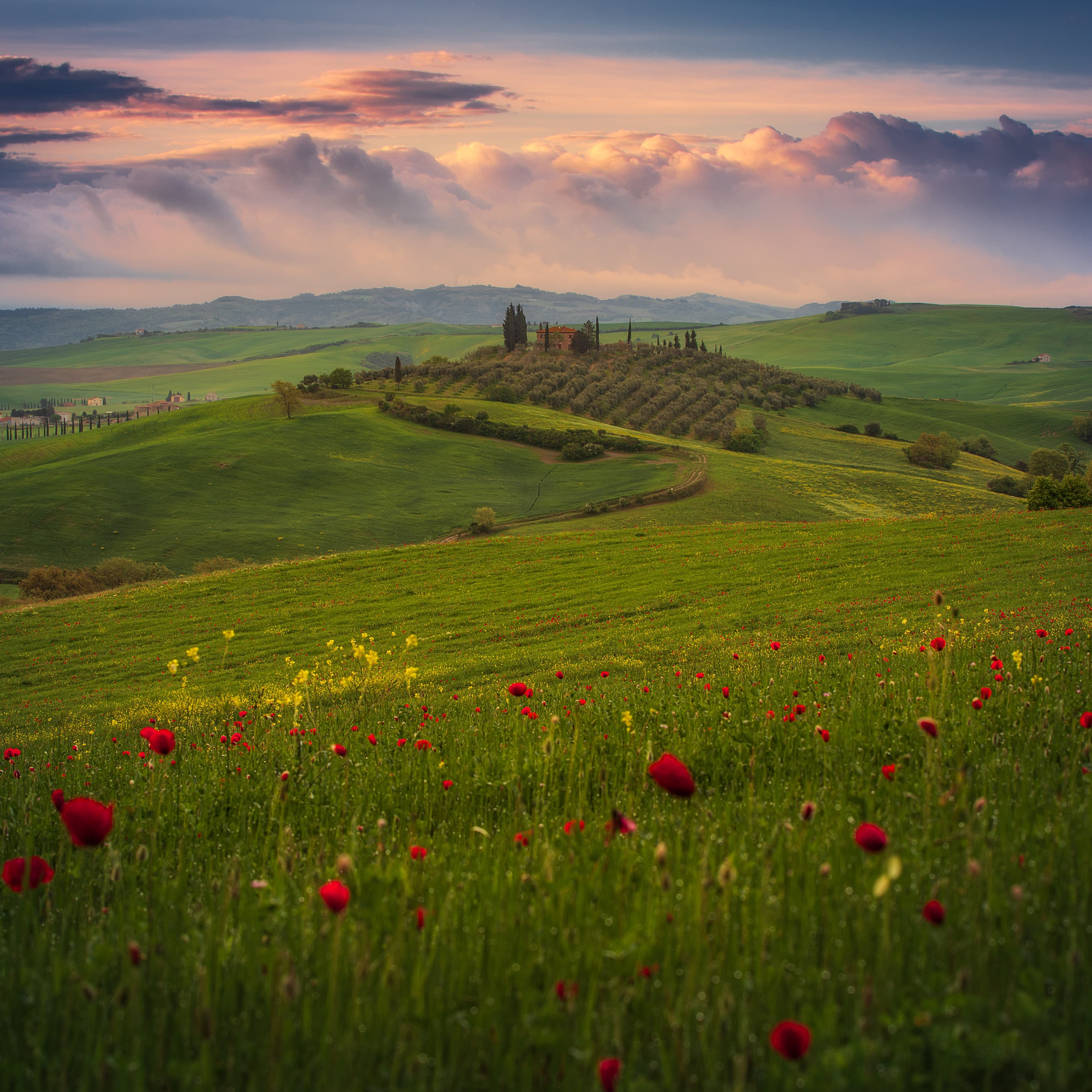 All Kind of Green Fields (II)