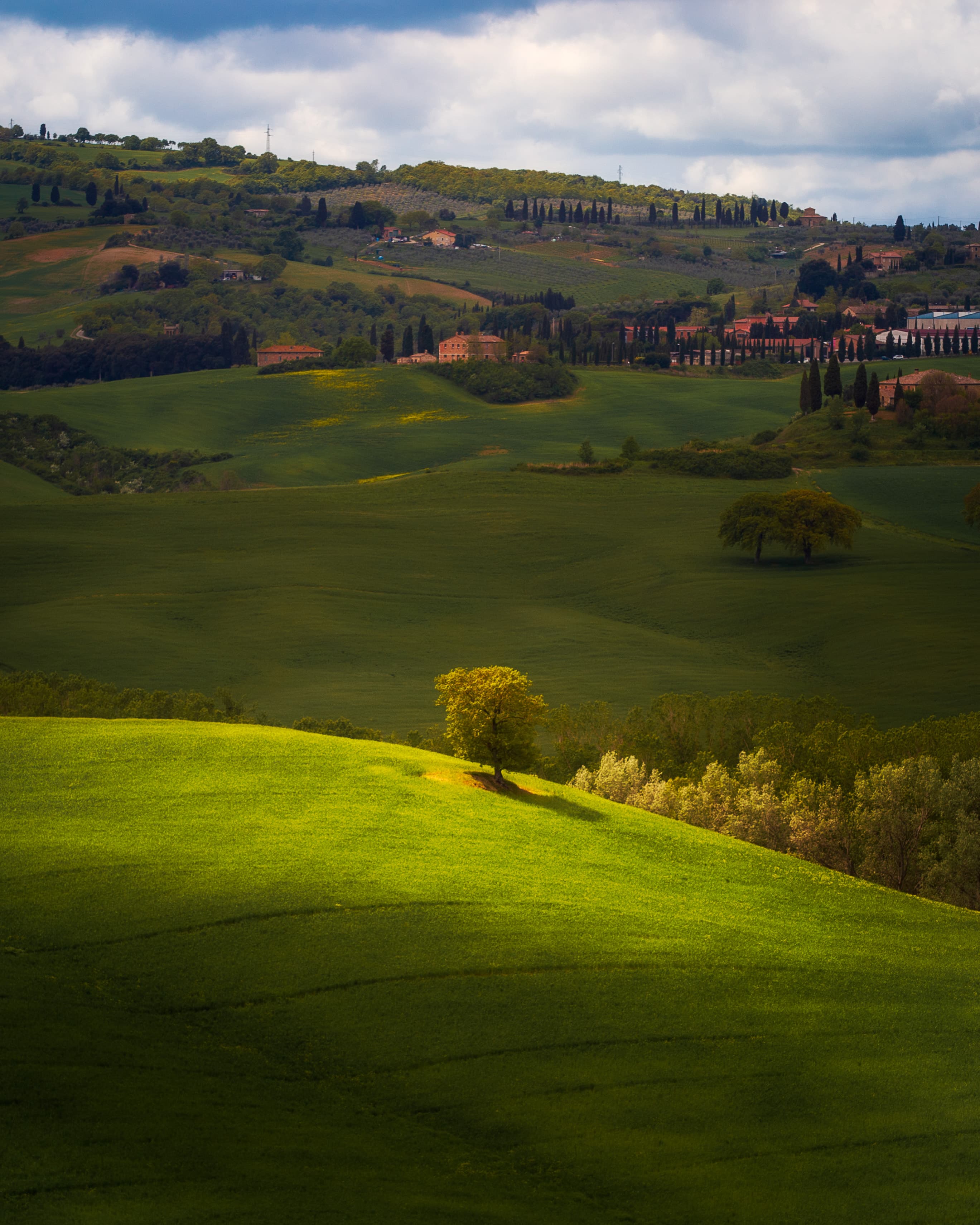 All Kind of Green Fields (VI)