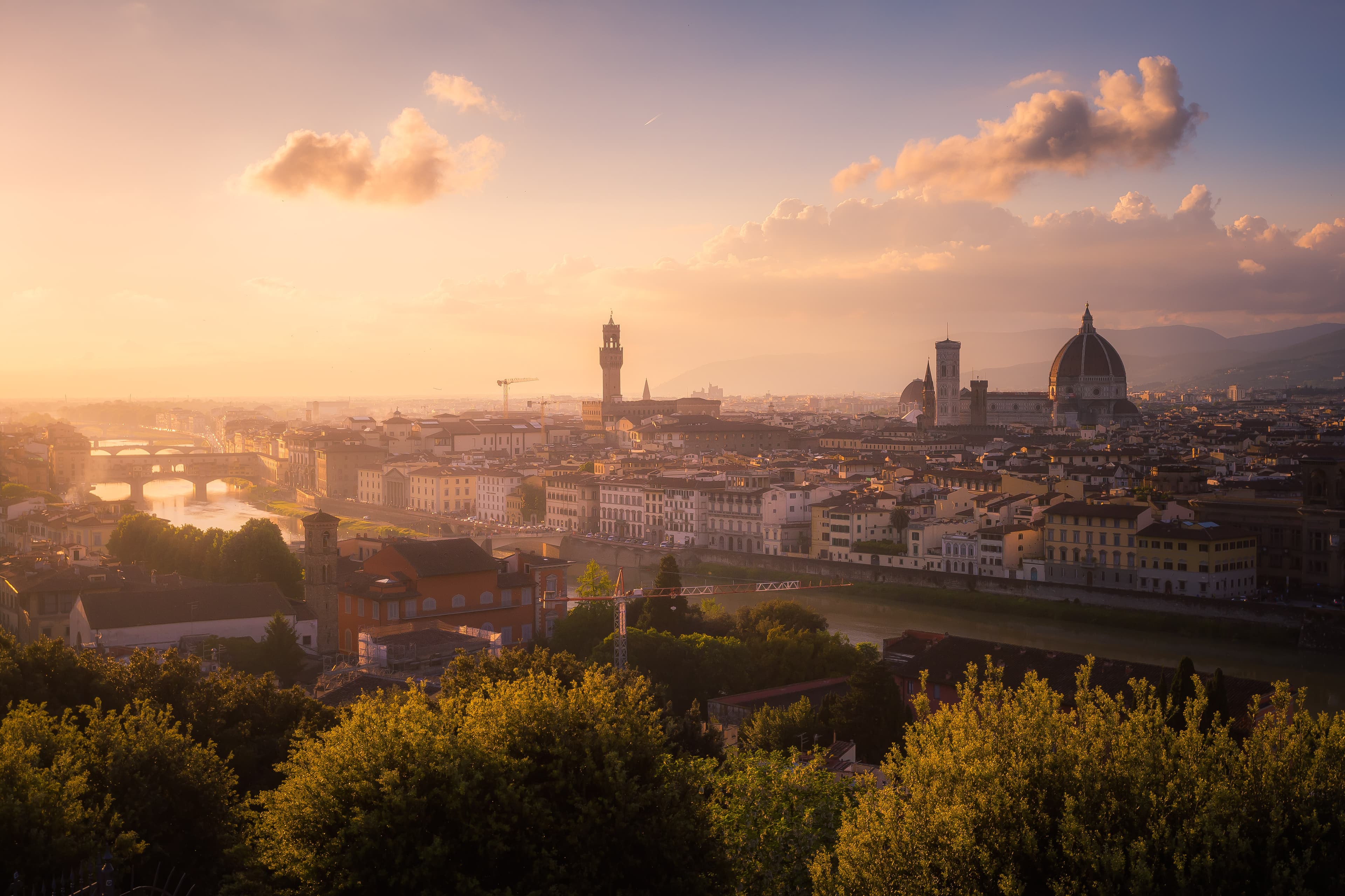 Sweet Florence