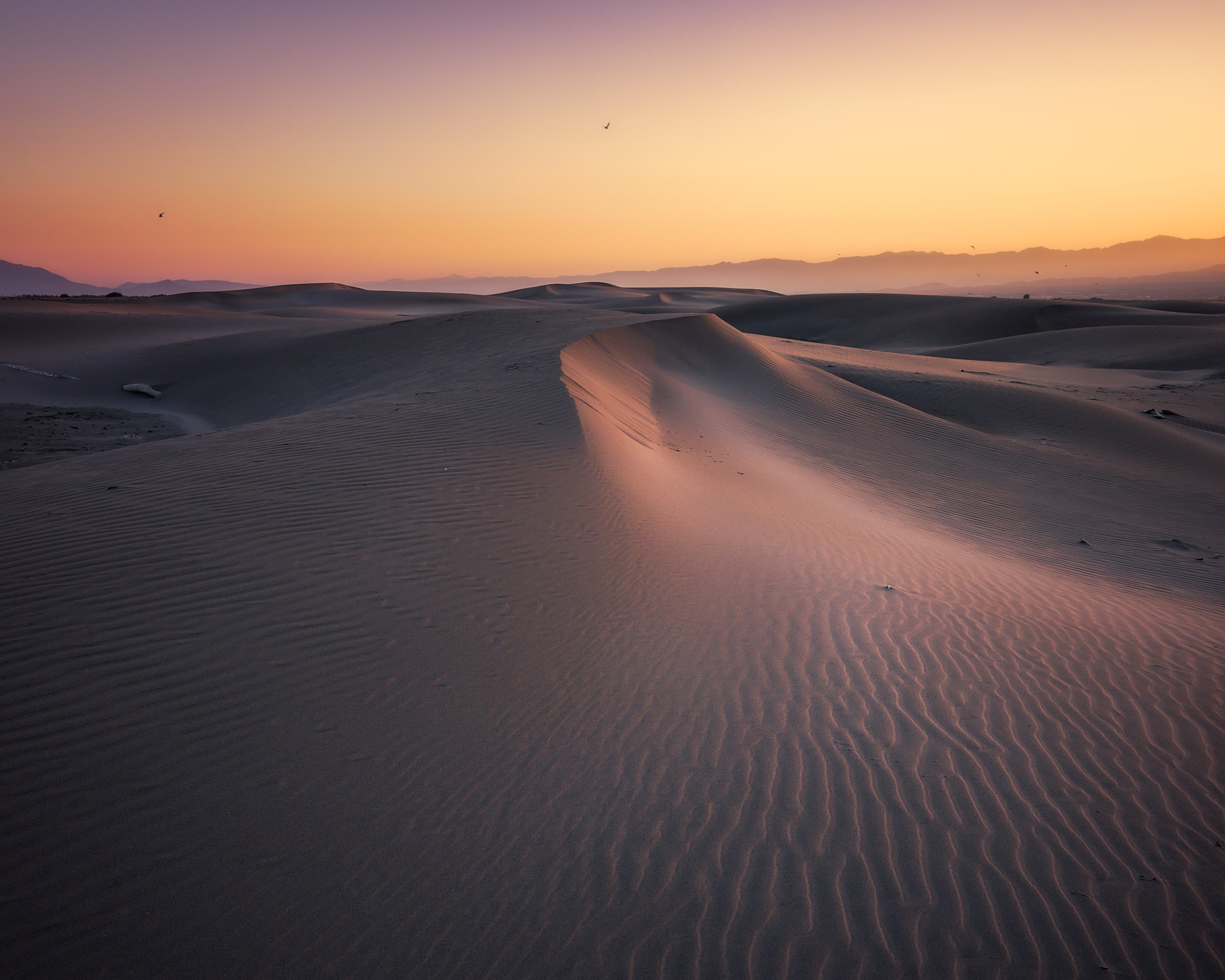 Lights and Shadows on the Sand Dunes