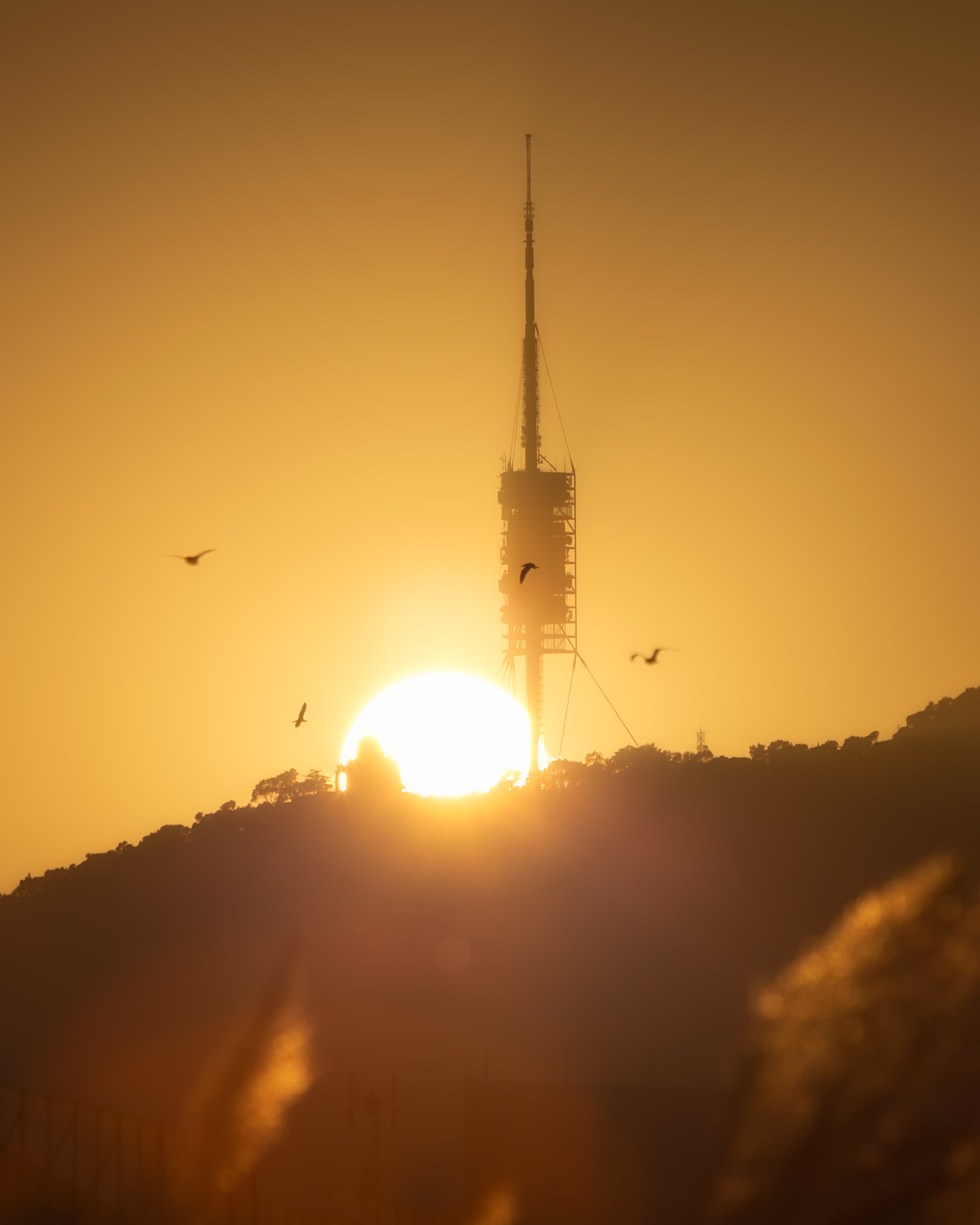 Flying with the Autumn Sun