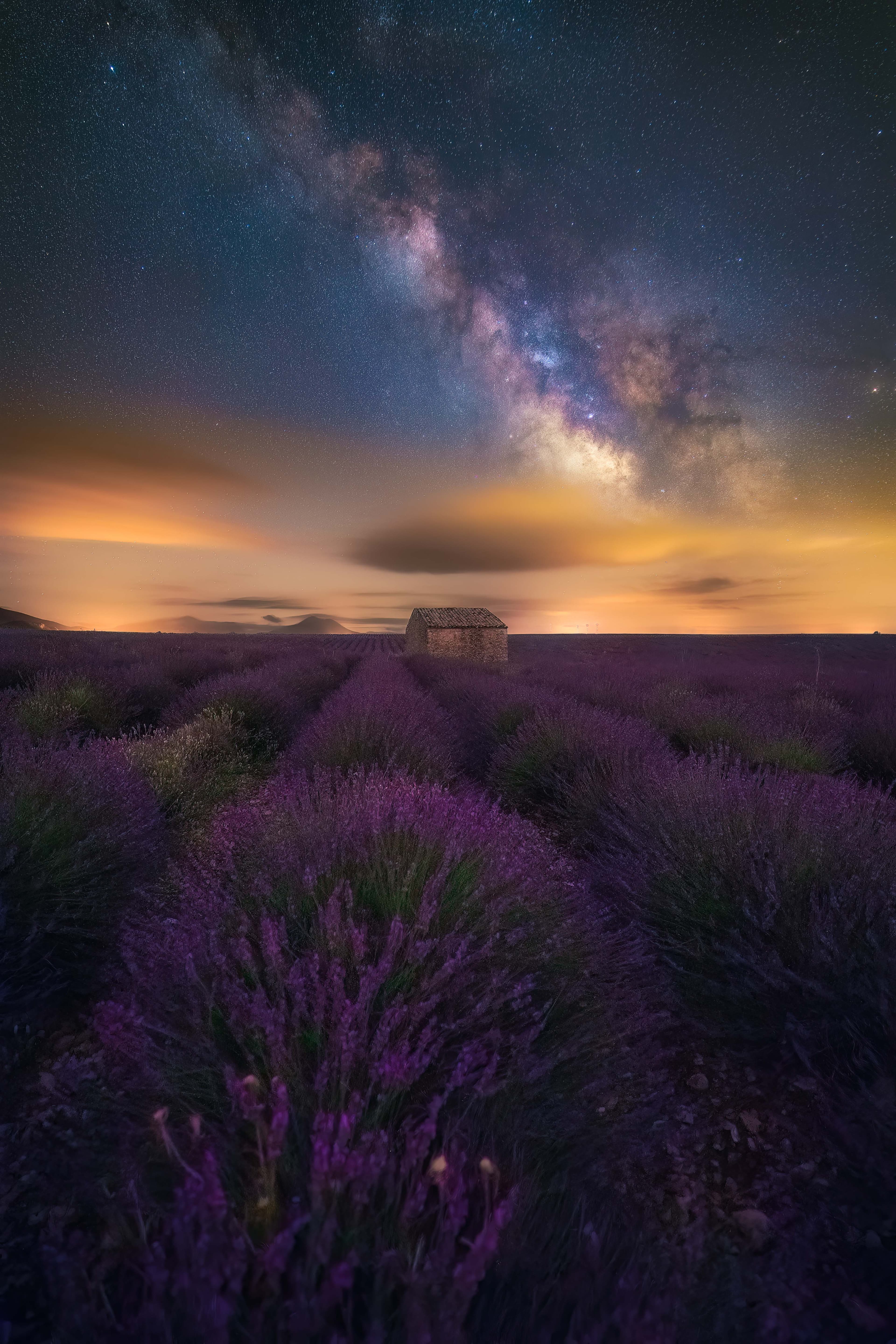 Violet Nights in Valensole