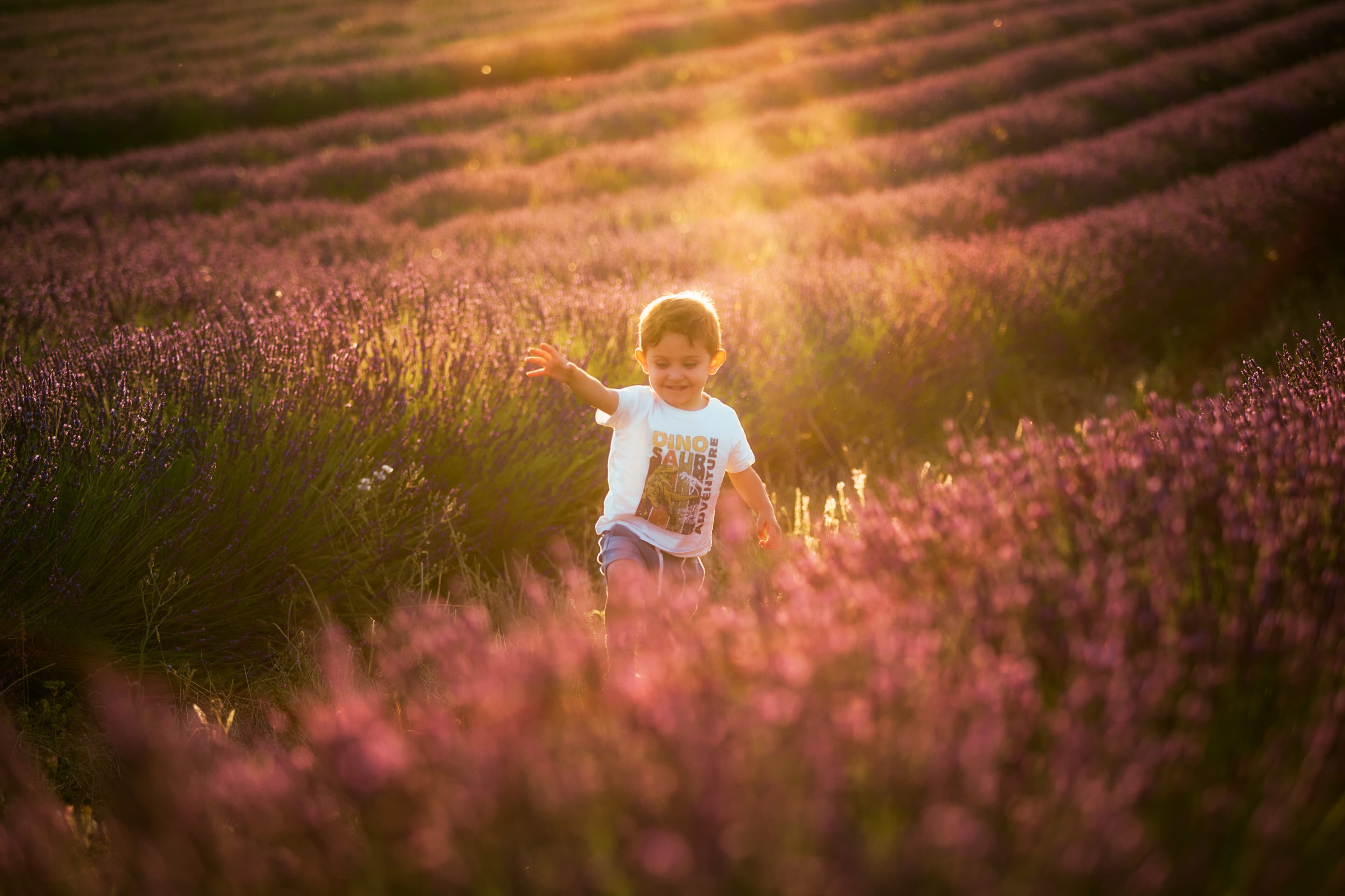 Family Time on Lavenders (IV)