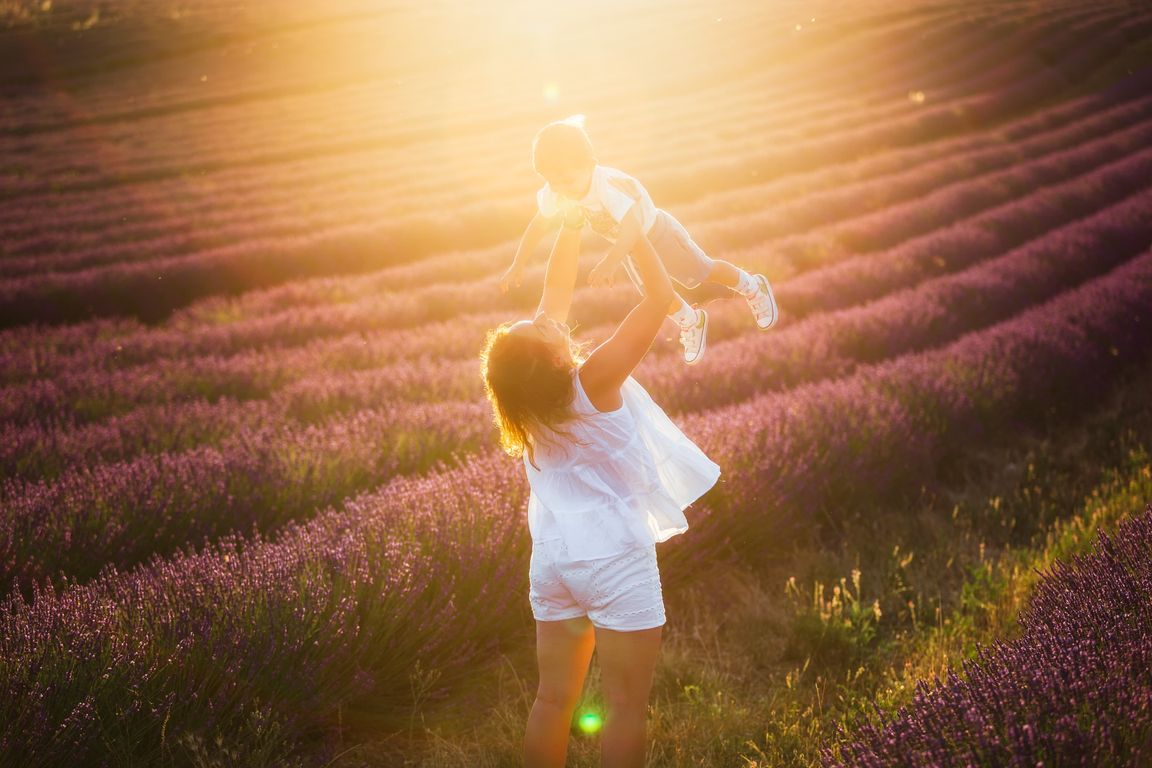 Family Time on Lavenders (I)