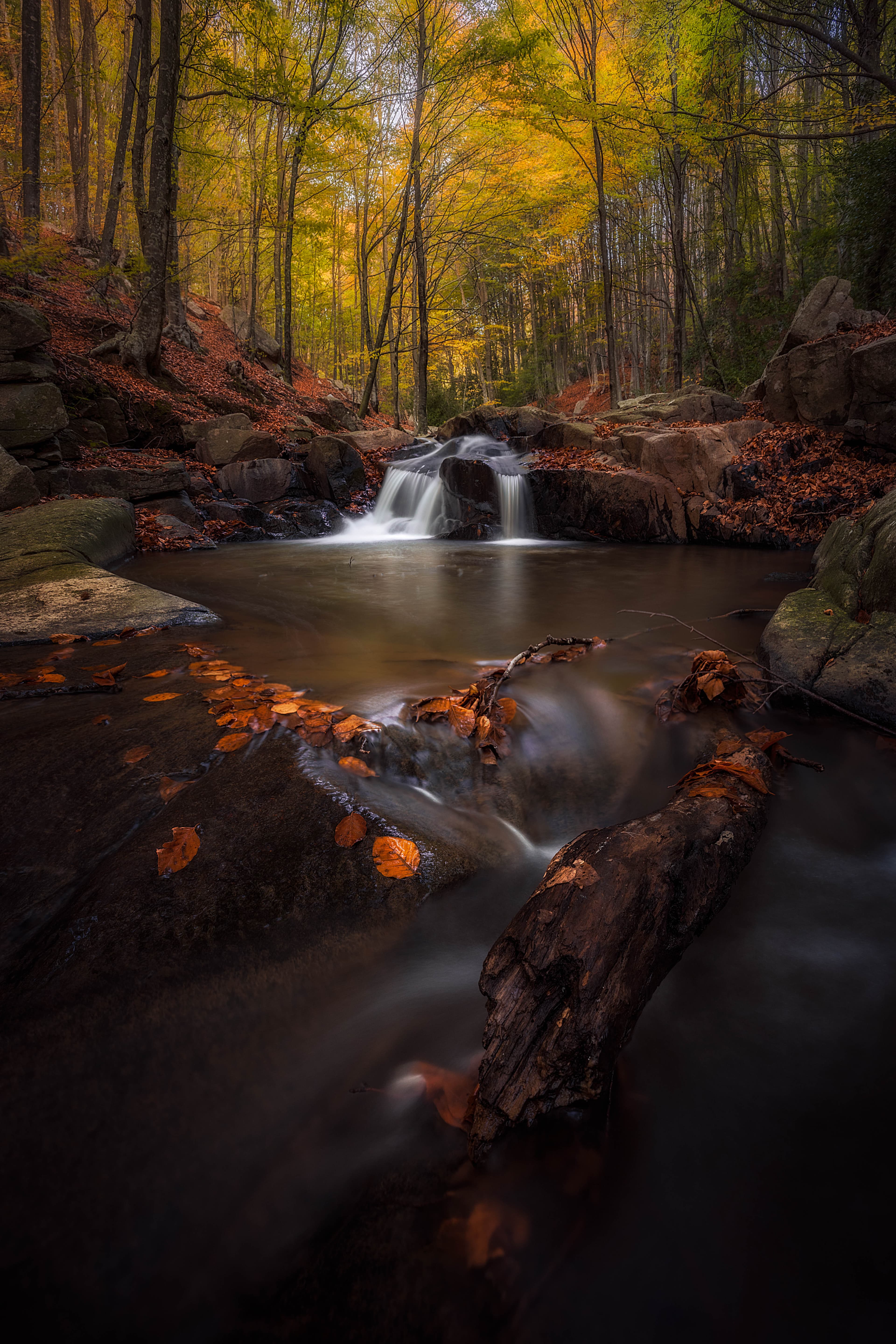 Colorful Tranquility