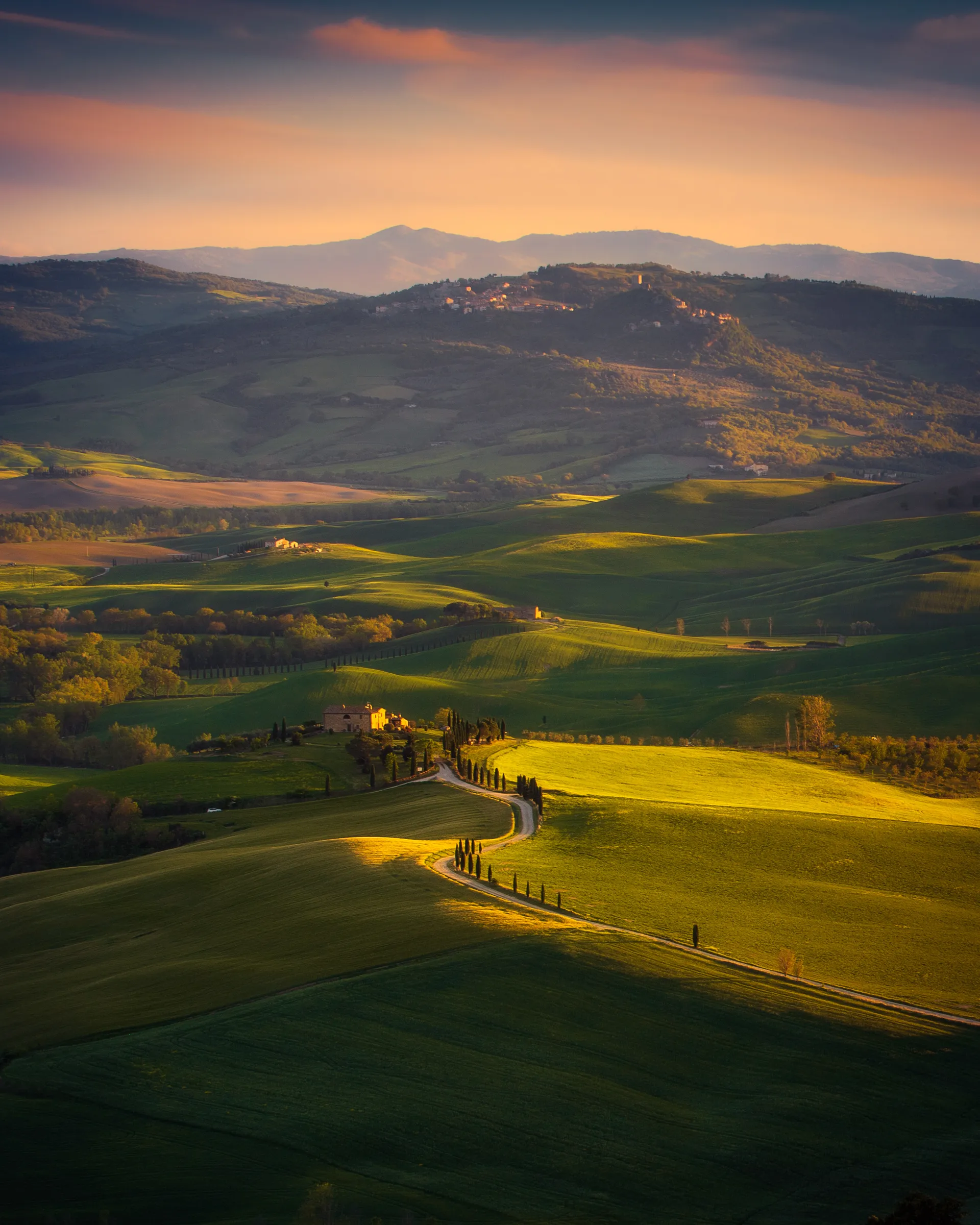 The Pearl of the Renaissance (II)