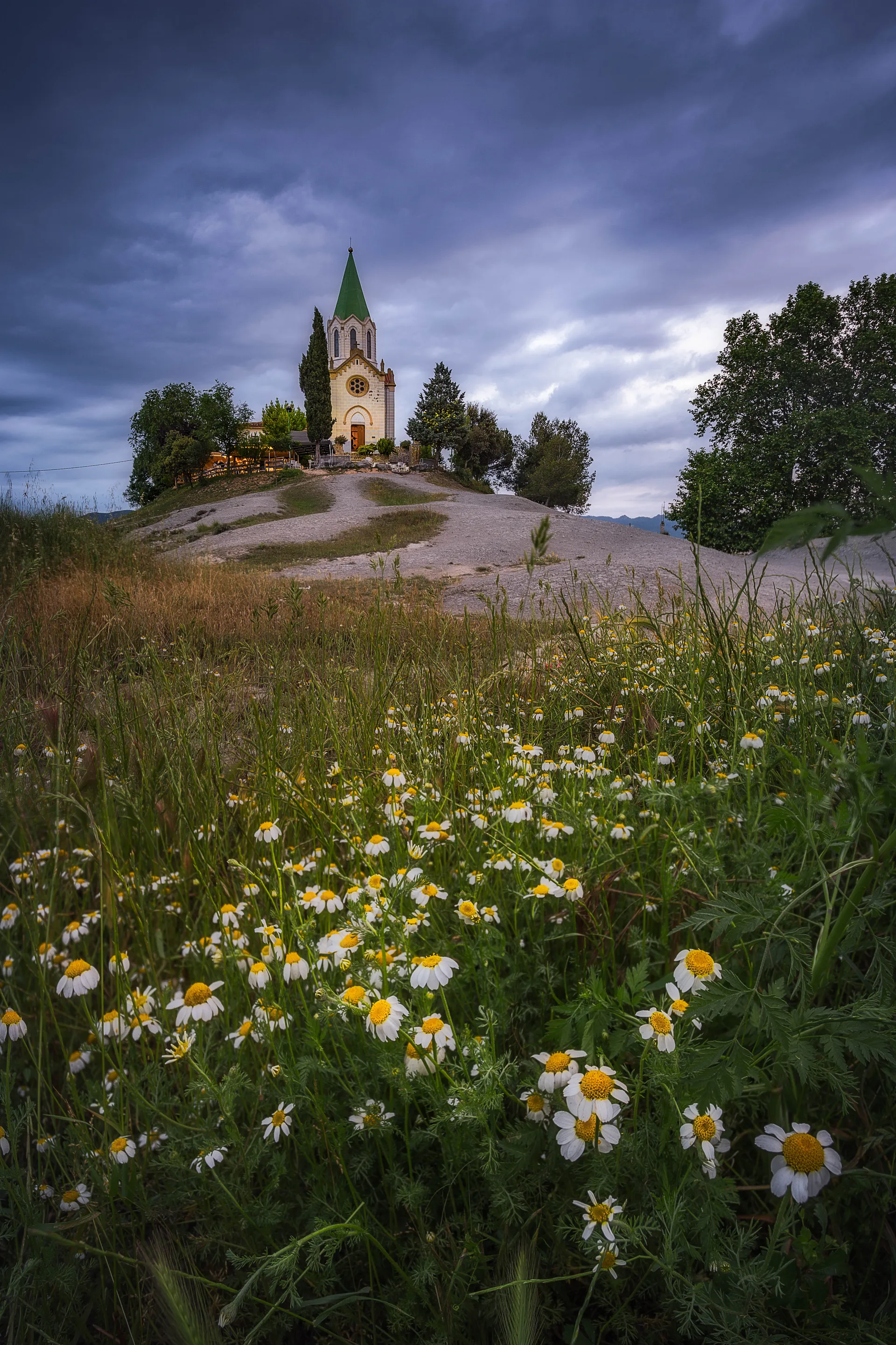 Last Spring Flowers